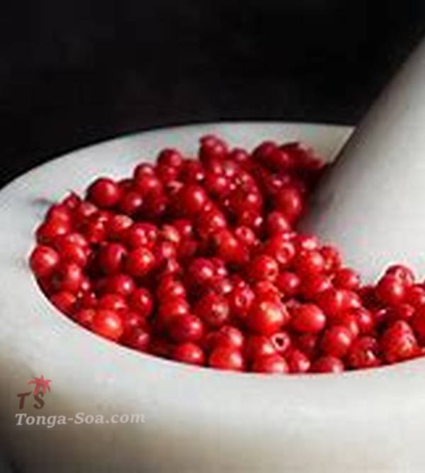 photo 1 de l annonce