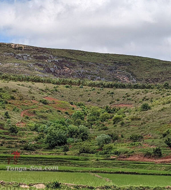 photo 3 de l annonce