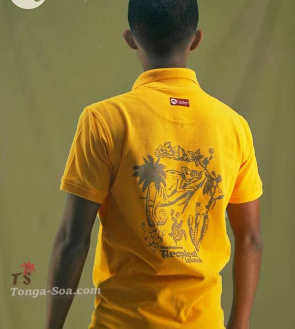 photo 3 de l annonce