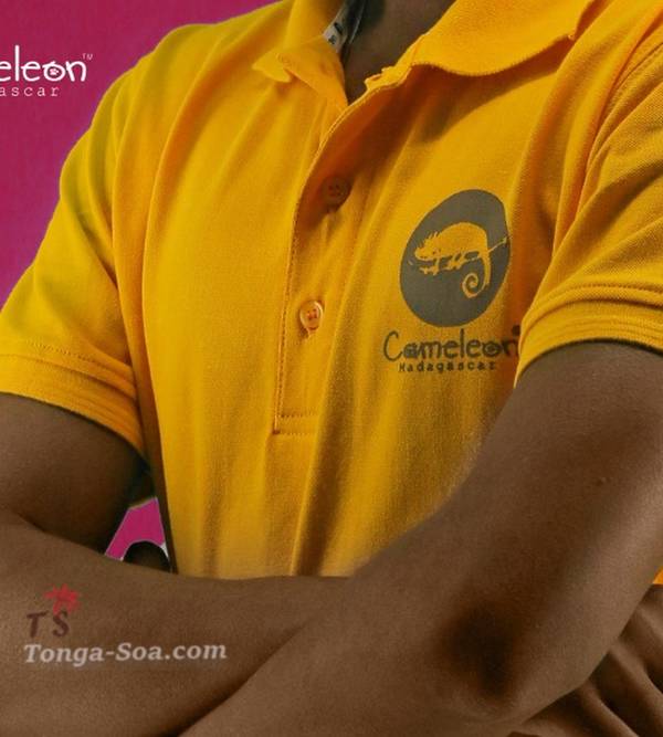 photo 4 de l annonce