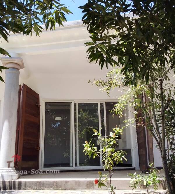 photo 1 de l annonce