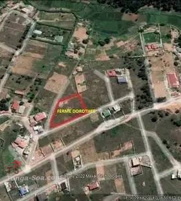 photo 1 de l annonce