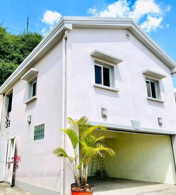 photo 2 de l annonce