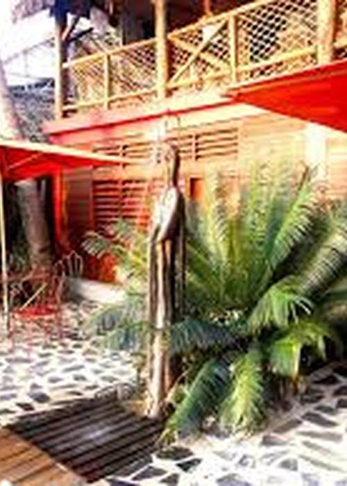 photo 1 de l annonce