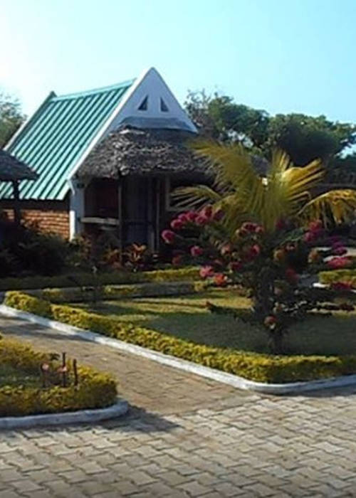 photo 2 de l annonce