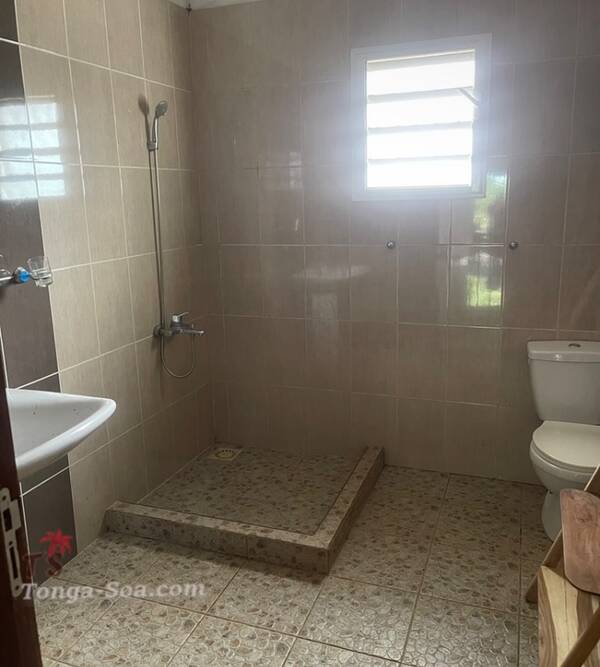 photo 3 de l annonce