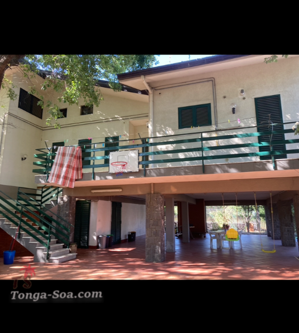 photo 1 de l annonce