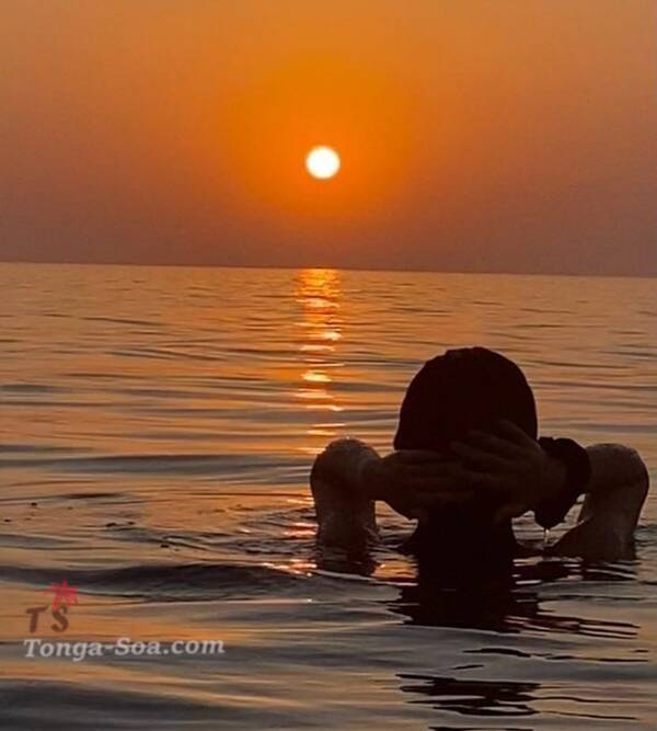 photo 1 de l annonce