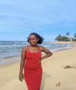 Avis de Recherche