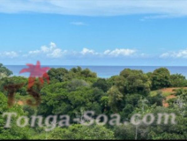 photo 1 de l annonce