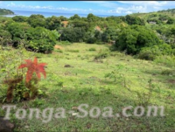 photo 2 de l annonce