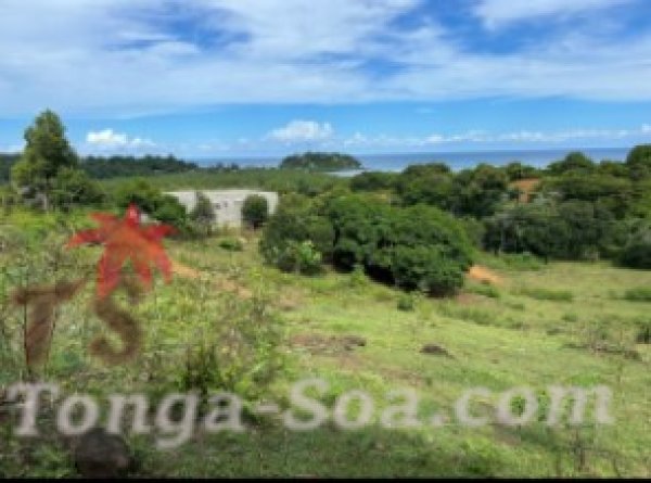 photo 4 de l annonce