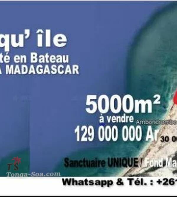 photo 1 de l annonce