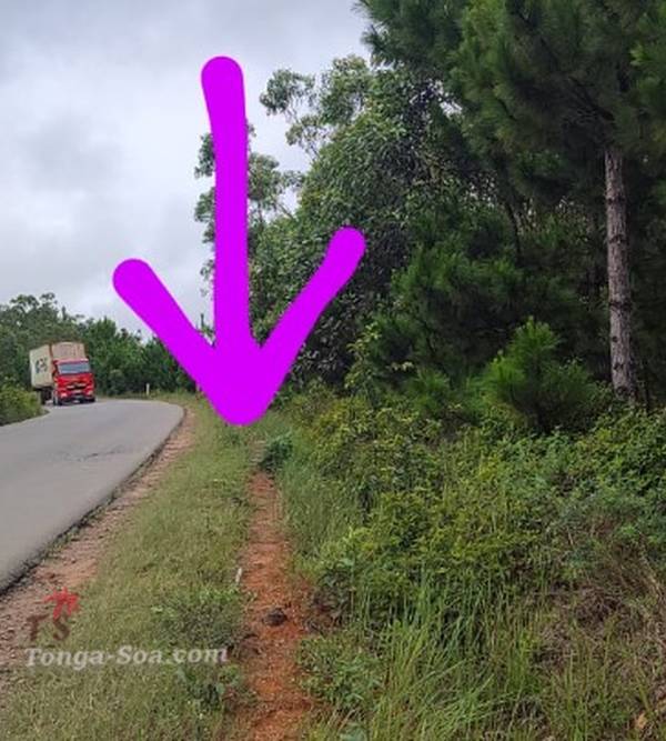 photo 1 de l annonce