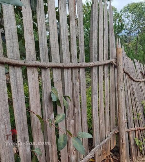 photo 2 de l annonce