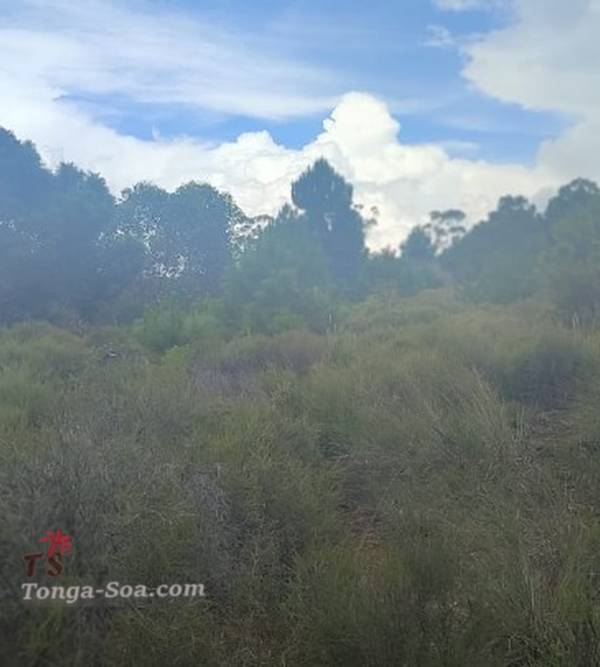 photo 5 de l annonce