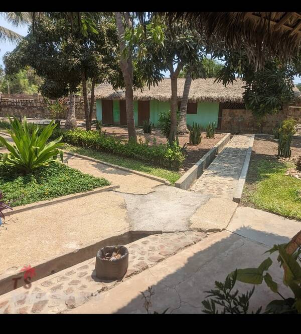 photo 2 de l annonce