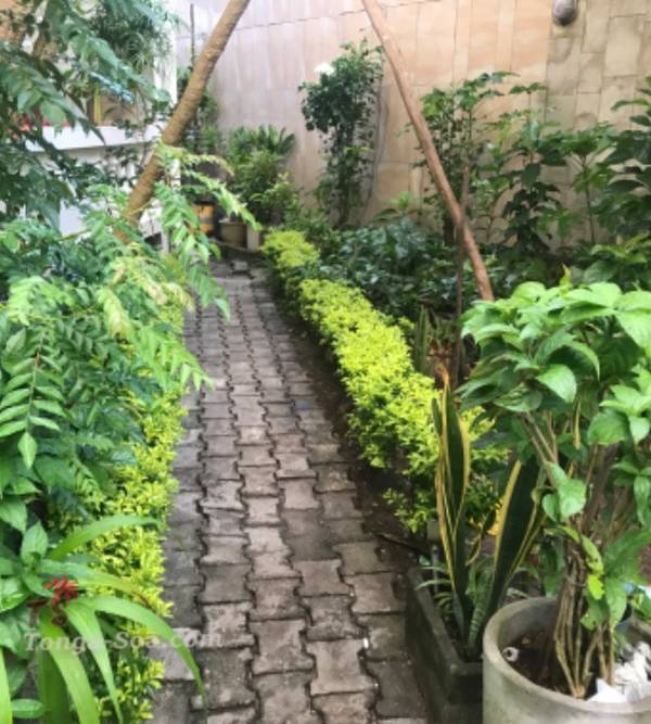 photo 1 de l annonce