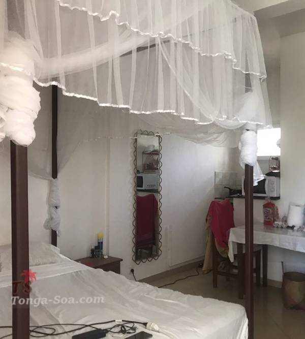 photo 3 de l annonce