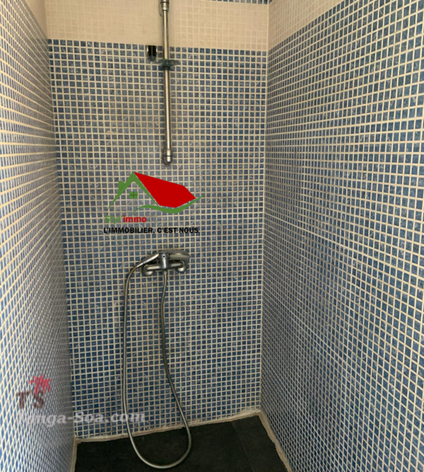 photo 4 de l annonce