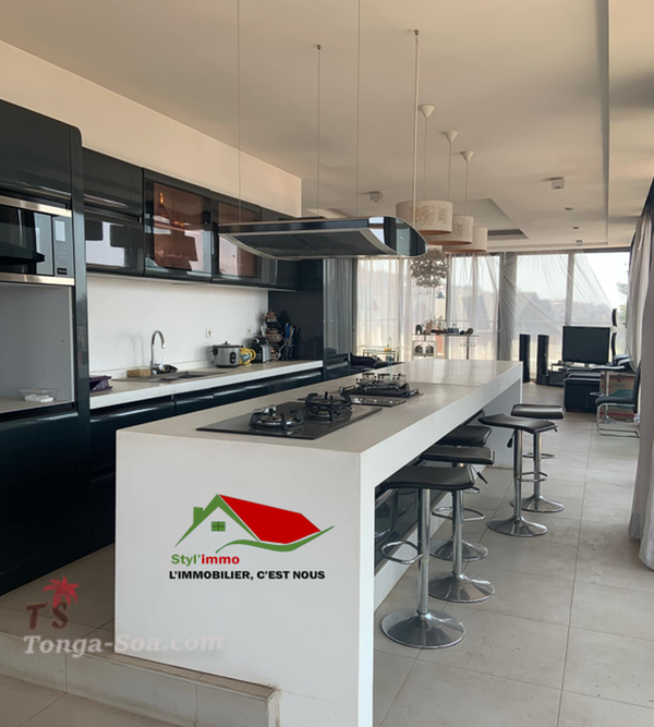 photo 1 de l annonce