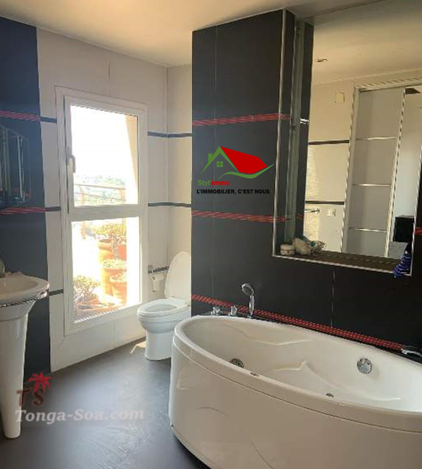 photo 2 de l annonce