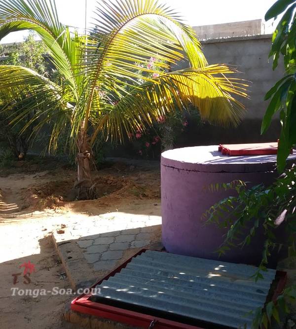 photo 2 de l annonce