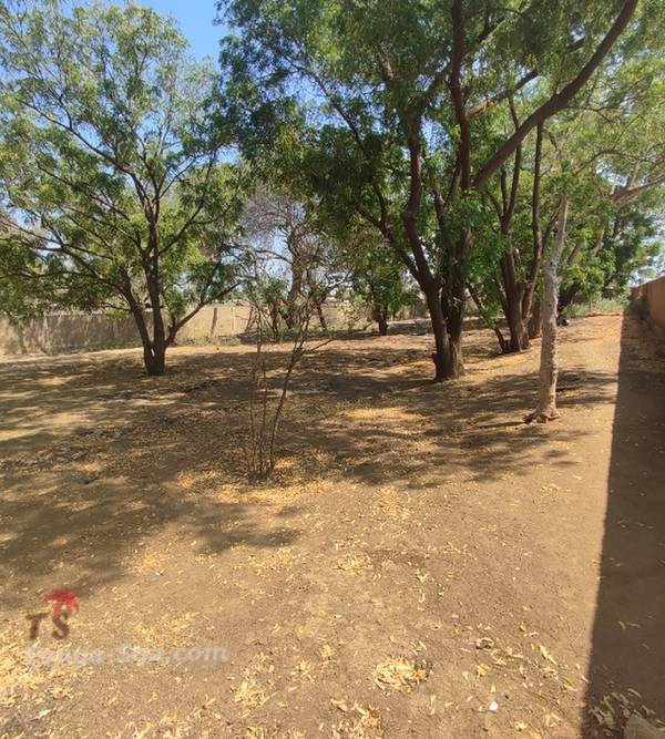 photo 1 de l annonce