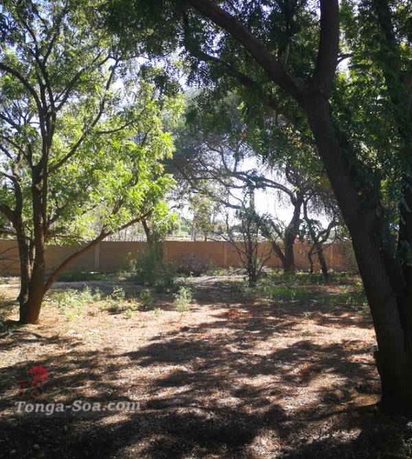 photo 3 de l annonce