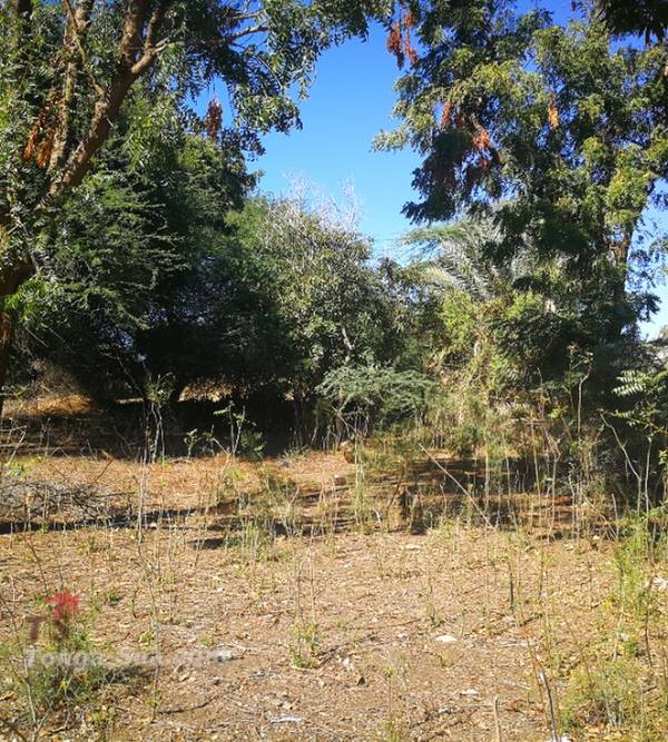 photo 4 de l annonce