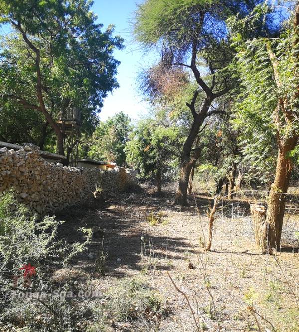 photo 5 de l annonce