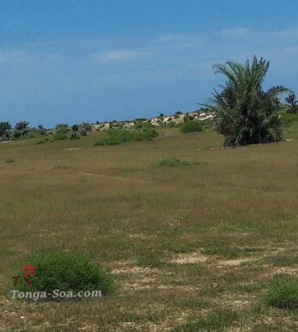 photo 1 de l annonce