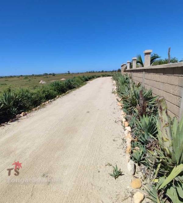 photo 2 de l annonce