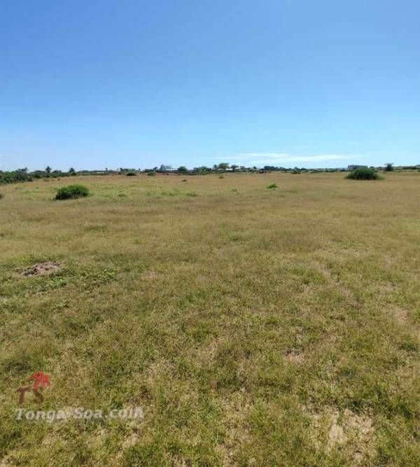 photo 4 de l annonce