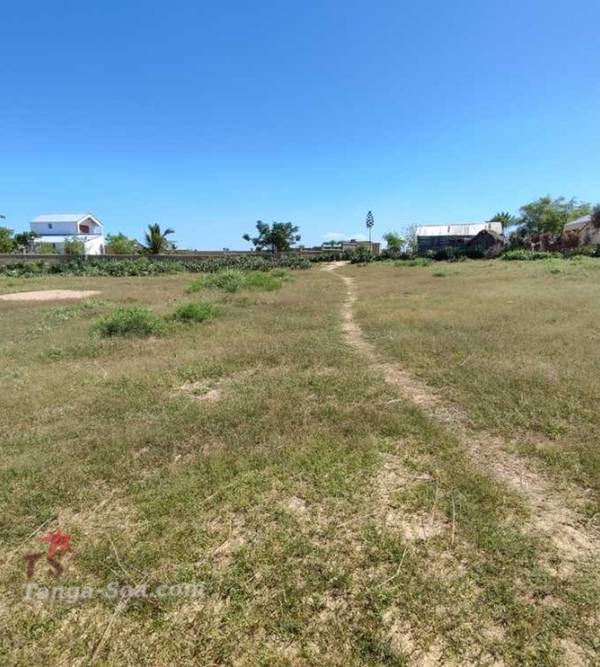 photo 5 de l annonce