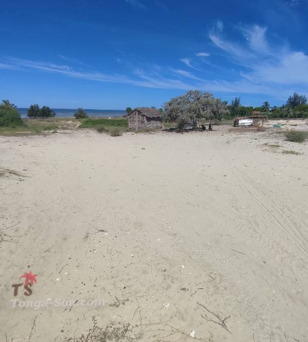 photo 1 de l annonce