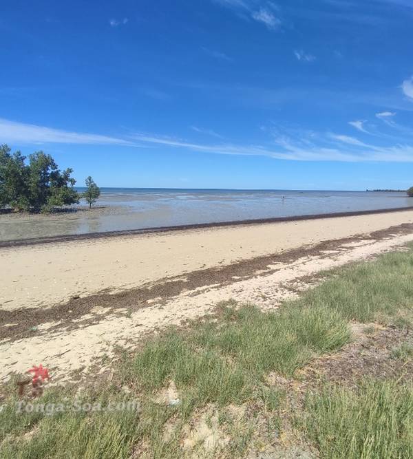 photo 2 de l annonce