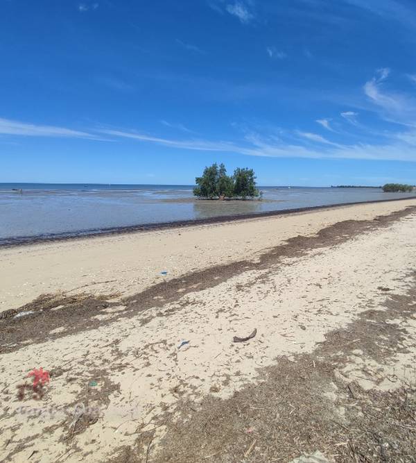 photo 3 de l annonce