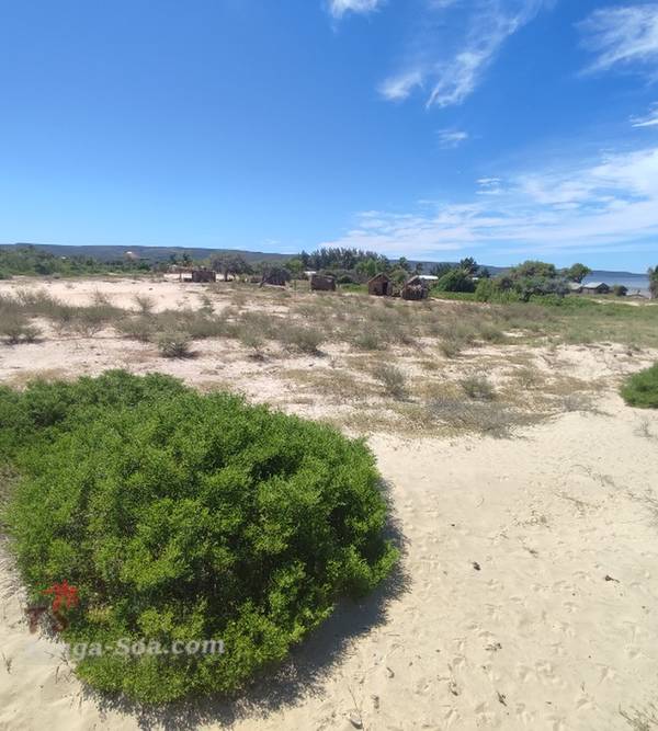 photo 4 de l annonce