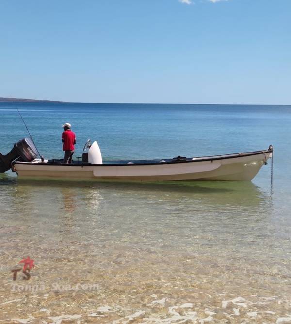 photo 1 de l annonce