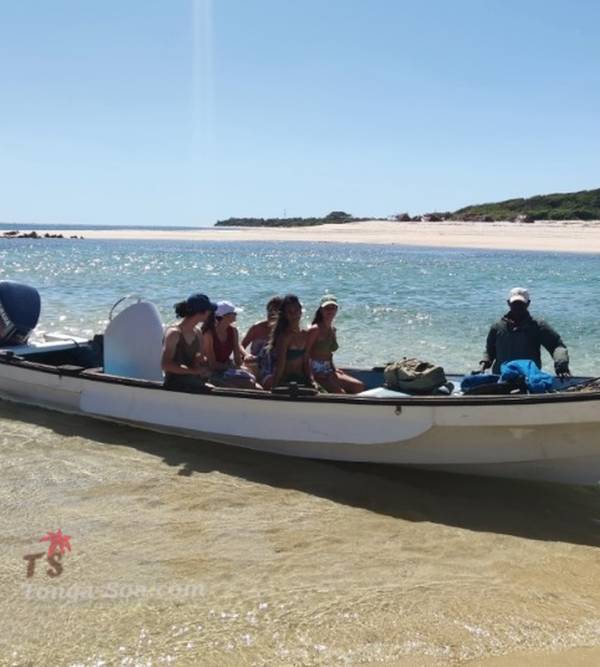 photo 2 de l annonce