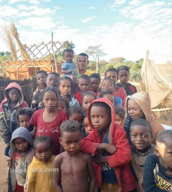 photo 1 de l annonce