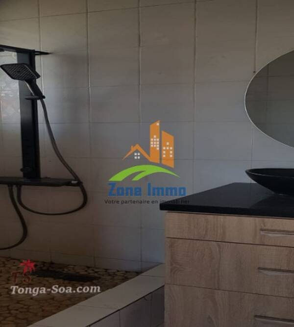 photo 1 de l annonce