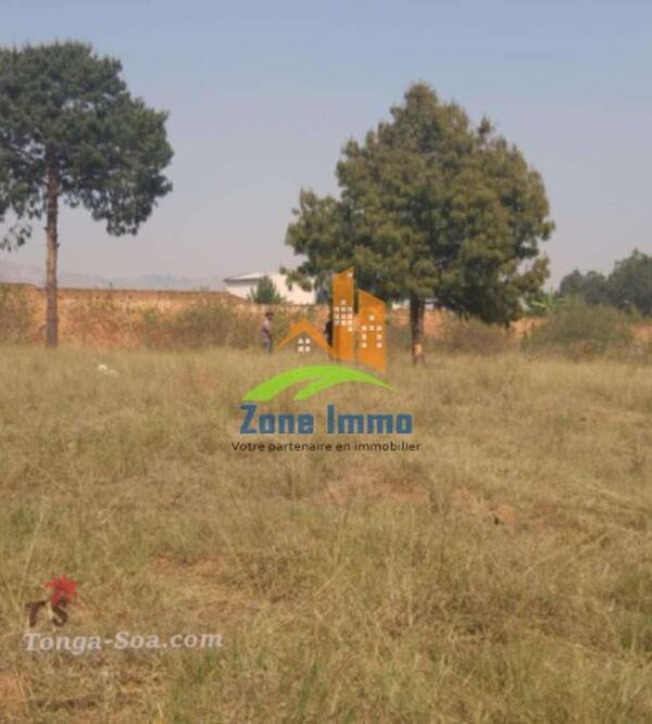 photo 2 de l annonce