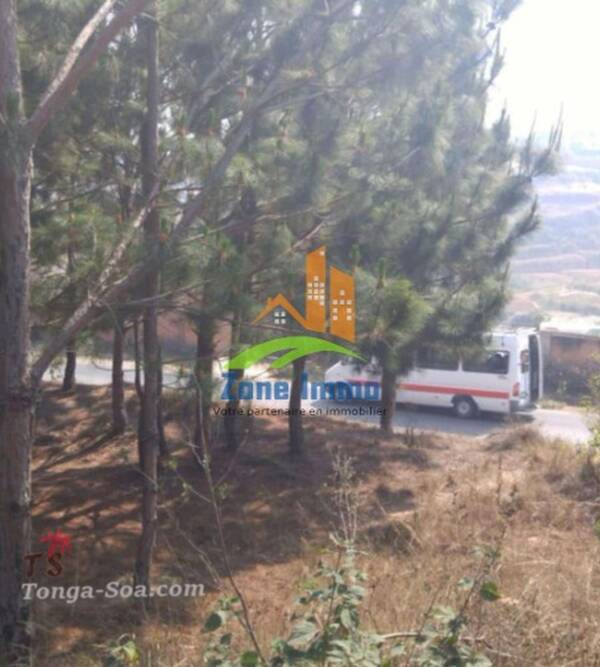 photo 3 de l annonce