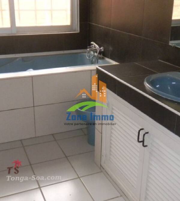 photo 3 de l annonce