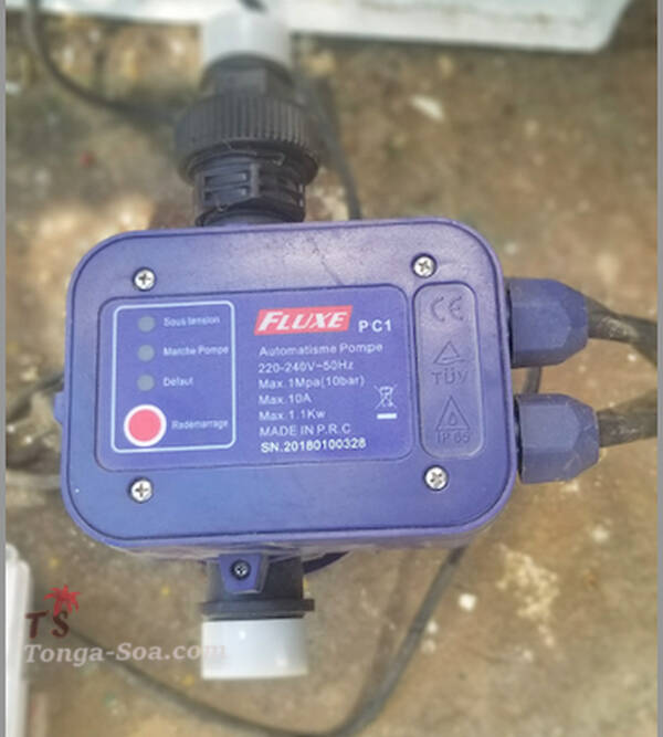 photo 3 de l annonce