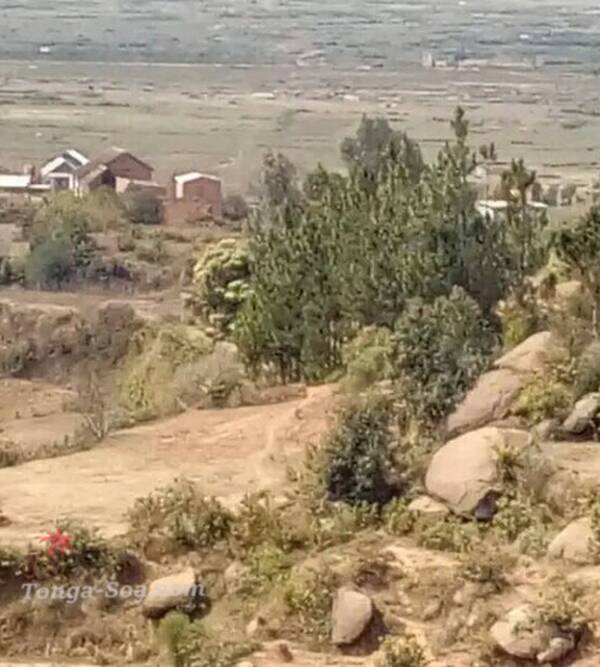 photo 1 de l annonce