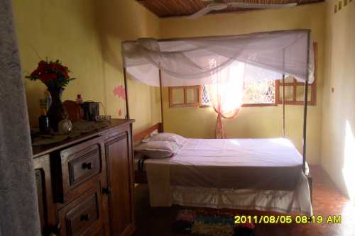 photo 1 de l annonce