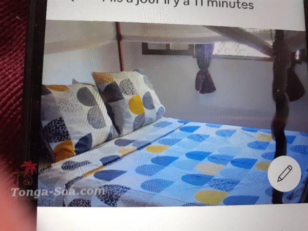 photo 2 de l annonce